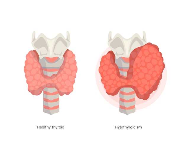 Функции щитовидной железы и ее значение для организма