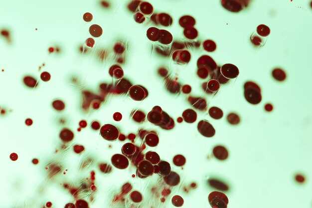 Вирусы, передающиеся через кровь